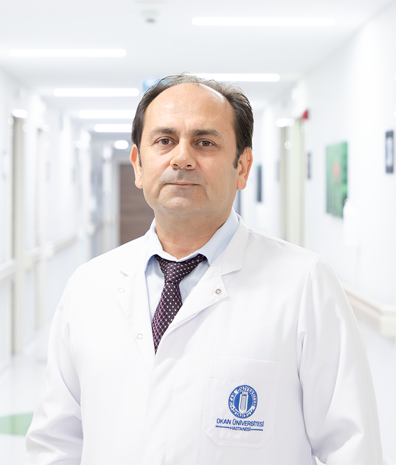 Prof. Dr. Ali Kaya